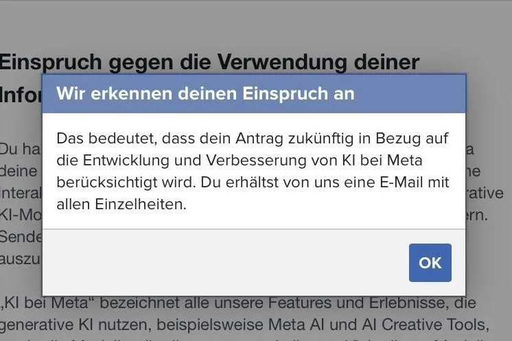 Screenshot der Bestätigung über den erfolgreich eingelegten Einspruch.